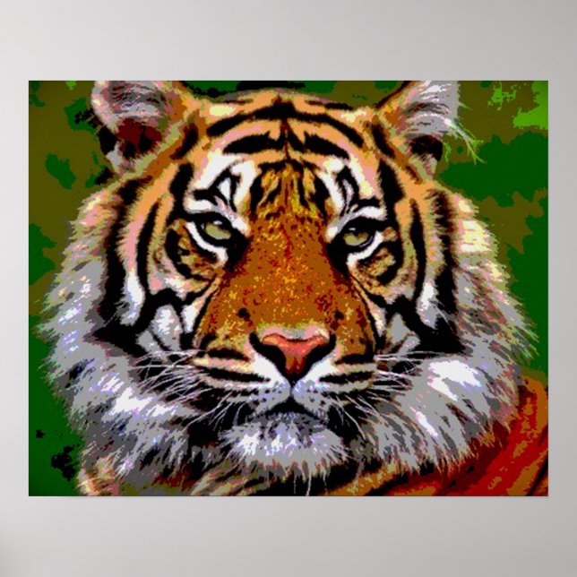Poster Tiger (Devant)