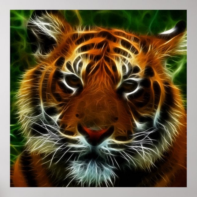 POSTER TIGER (Devant)