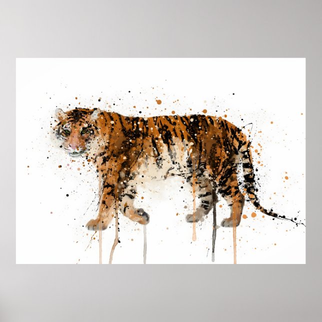 Poster Tiger (Devant)