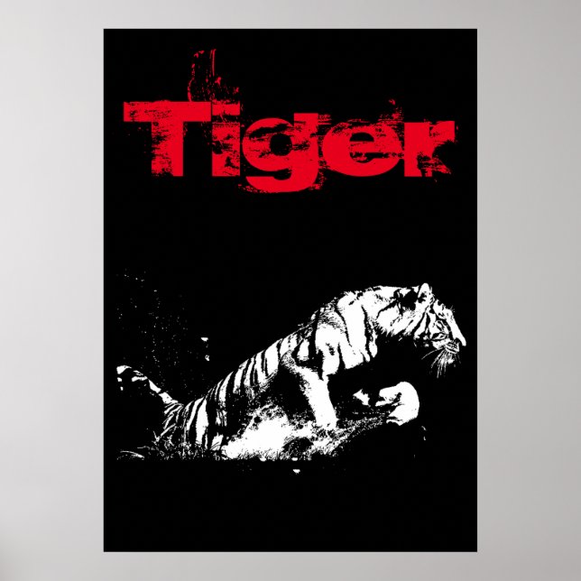 Poster Tiger (Devant)