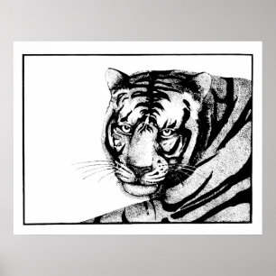 Poster Tiger
