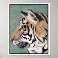 TIGER Art Print adapté pour encadrer Miranda