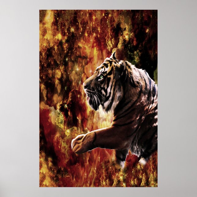 Poster Tiger Galaxy (Devant)