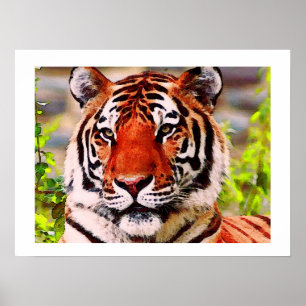 Poster Tiger Imprimer - Pop Art Style Tigers Poste