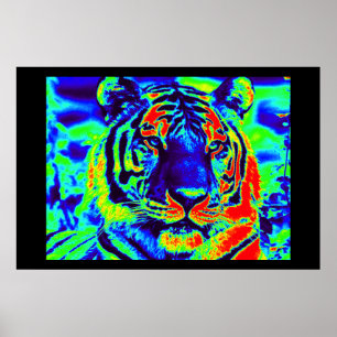Poster Tiger Spirit