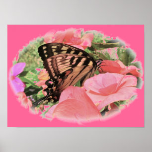 Poster Tiger Swallowtail