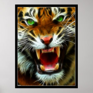 Poster Tiger's Roar