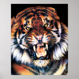 Poster Tigre