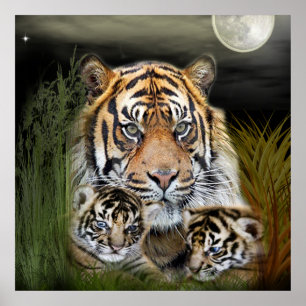 Poster Tigre