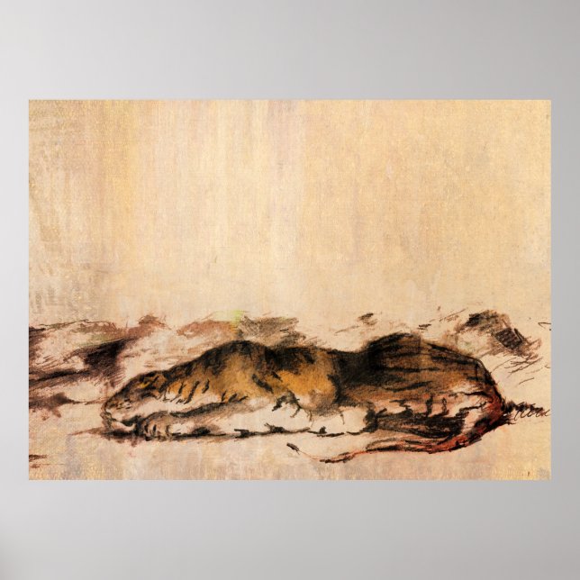 Poster tigre (Devant)