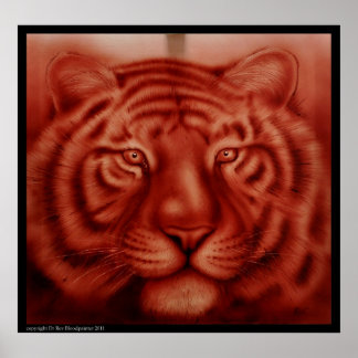 Poster Tigre