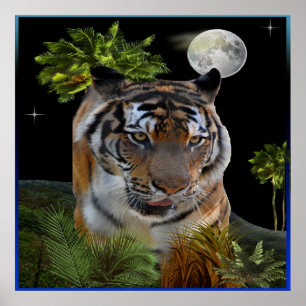 Poster Tigre