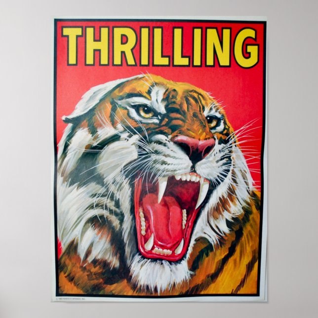 Poster Tigre (Devant)