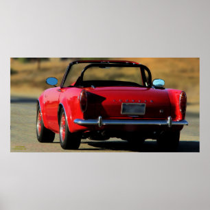 POSTER TIGRE 1965 DE SUNBEAM 289