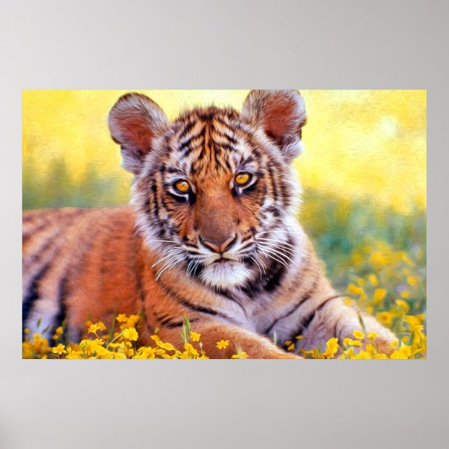 Poster Tigre Baby Cub (Devant)