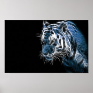 Poster Tigre blanc