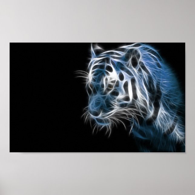 Poster Tigre blanc (Devant)