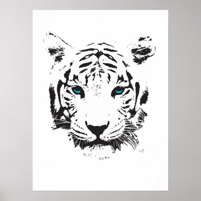 Poster Tigre blanc aux yeux bleus (Devant)