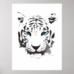 Poster Tigre blanc avec des yeux bleus