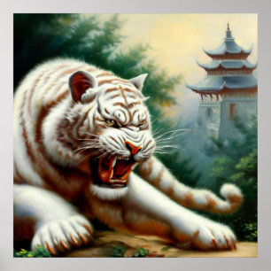 Poster Tigre blanc chinois (2)