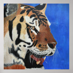Poster Tigre bleu