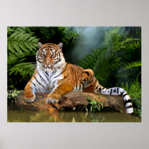 POSTER TIGRE DE LA JUNGLE