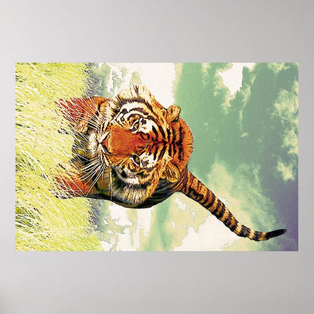 Poster Tigre de tigre ! (Devant)