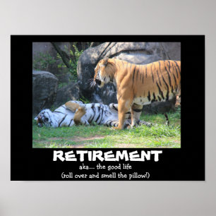 Poster Tigre drôle de sommeil (16x12), RETRAITE