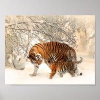 Tigre et petit dans l'affiche