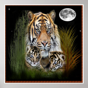 Poster tigre et petits