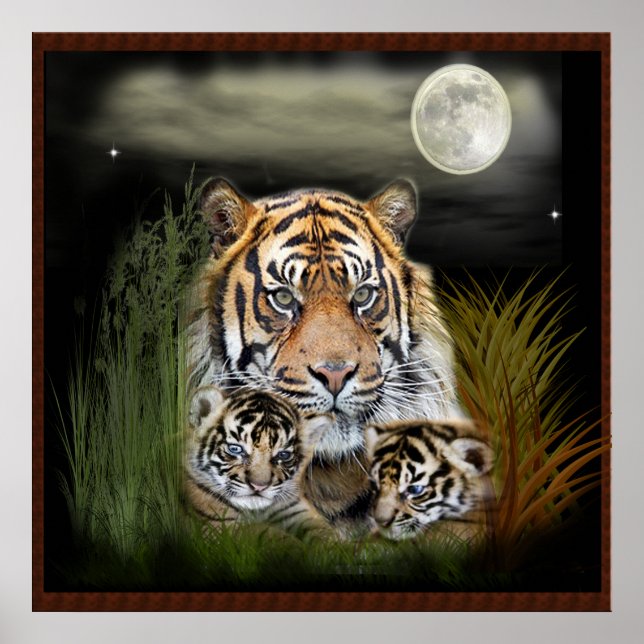 Poster Tigre et petits (Devant)