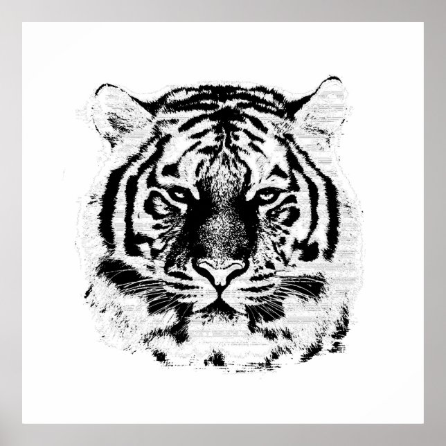 Poster Tigre noir et blanc (Devant)