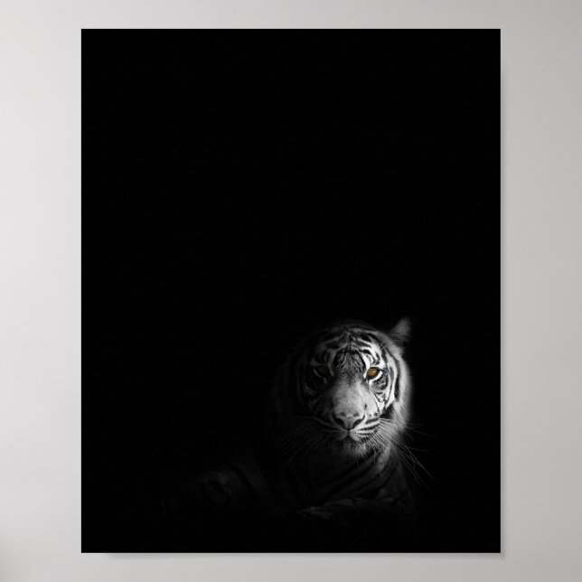 Poster Tigre, noir et blanc, (Devant)