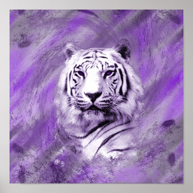 Poster Tigre pourpre (Devant)