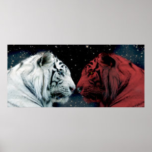 Poster Tigres rouges et blancs se faisant face