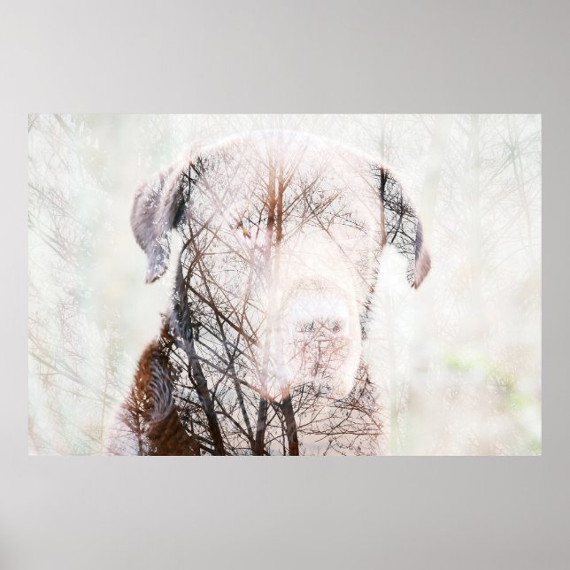 Poster Timeless Journey (Devant)