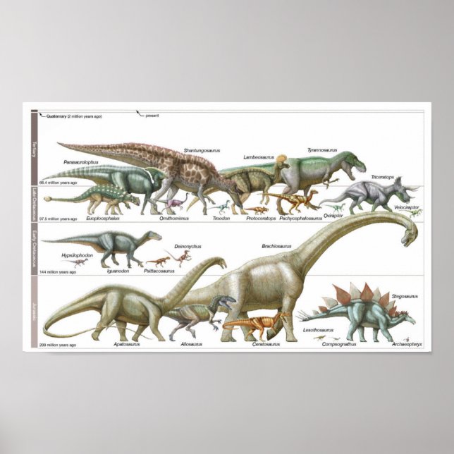 Poster Timeline of the dinosaurs Jurassic Biology (Devant)
