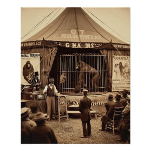 Poster Tintype vintage photo d'un cirque gorilla (années 