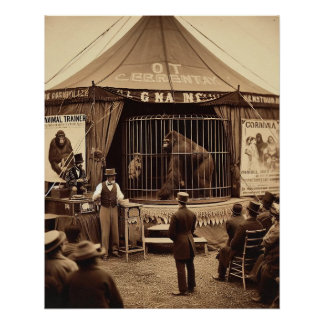 Poster Tintype vintage photo d'un cirque gorilla (années 