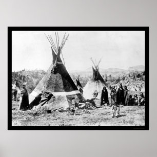 Poster Tipis 1884 d'Indien et de peau de Shoshoni