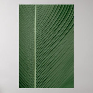 Poster Tissu rayé vert et blanc