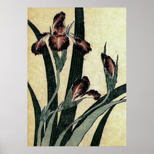 Poster Tissu Ukiyo-e de Katsushika Hokusai Imprimer : Iri