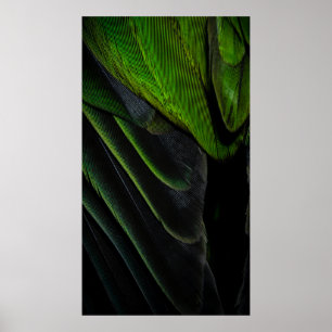 Poster Tissu vert et noir