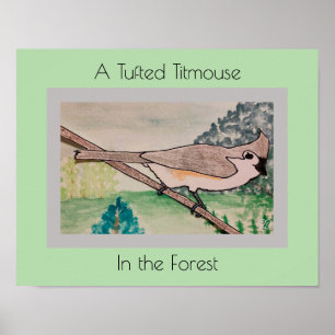 Poster Tite touffu dans la forêt