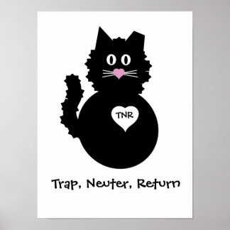 Poster TNR - Fuzzy Kitty