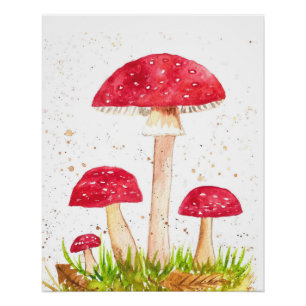 Poster Toadstool Champignons Forêt aquarelle Rouge Nature