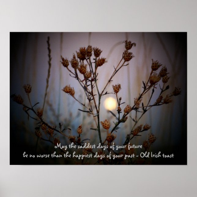 Poster Toast irlandais avec Pleine lune à travers Sage (Devant)