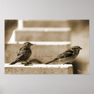 Poster Toi & Moi Pour Toujours