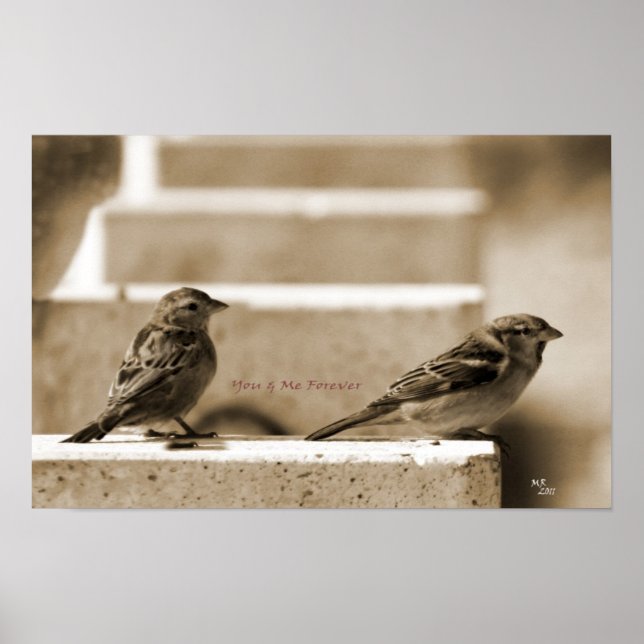 Poster Toi & Moi Pour Toujours (Devant)