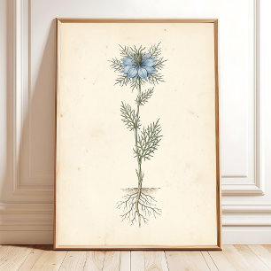 Poster Toile d'art botanique vintage